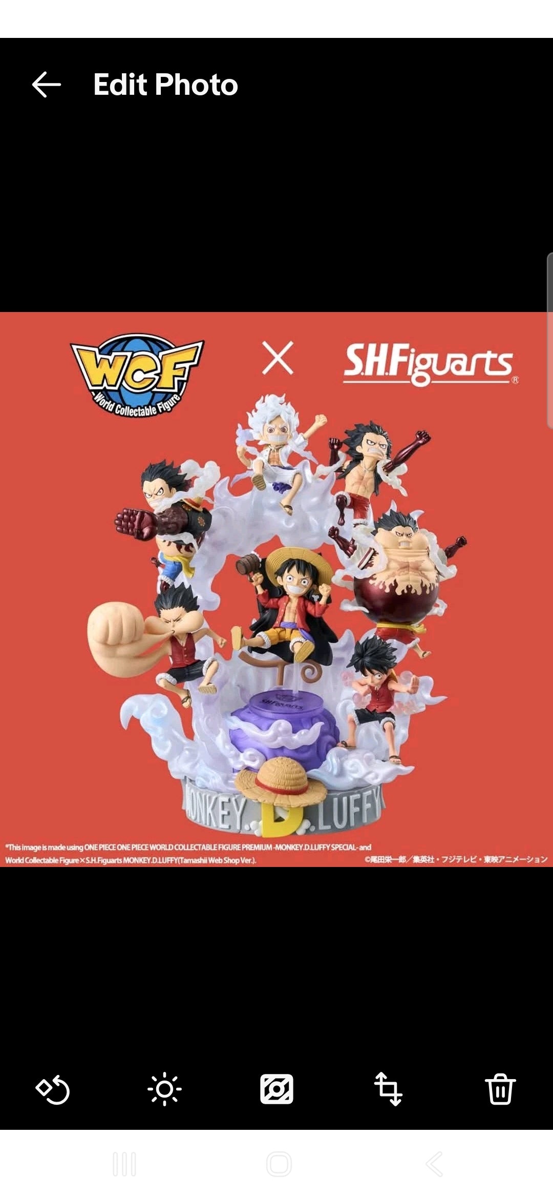 OP World Collectable Figure x S.H.Figuarts Monkey D. Luffy set